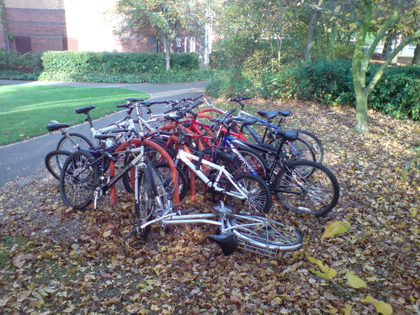 Autumn 2009