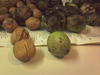 Walnuts